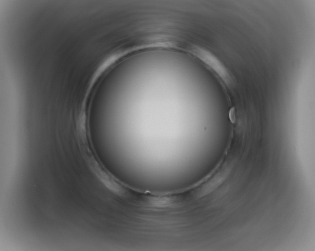 X0000113931332200910021234