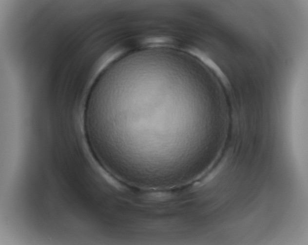 X0000113931333200910021234