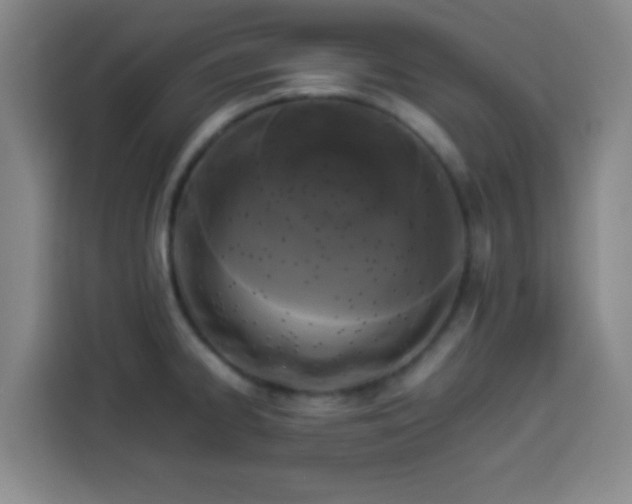 X0000113931334200910021234