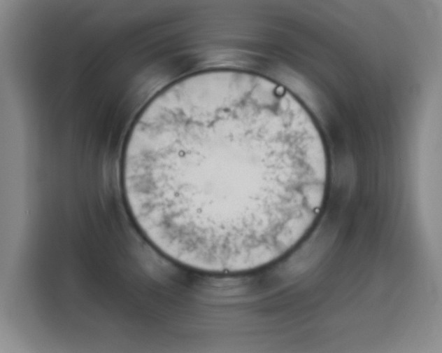 X0000113931338200910021235