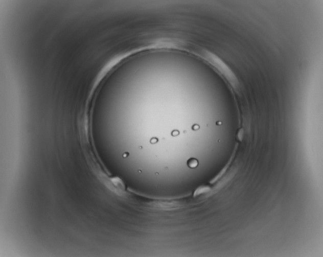 X0000113931340200910021235