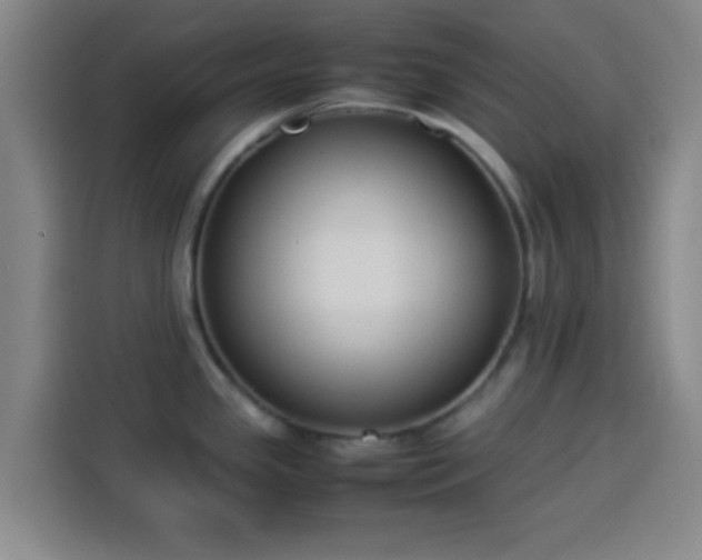 X0000113931341200910021235