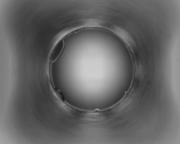 X0000113931342200910021235