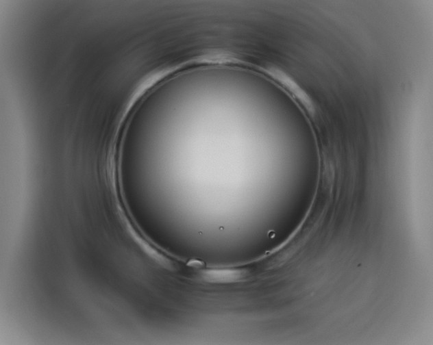 X0000113931343200910021235