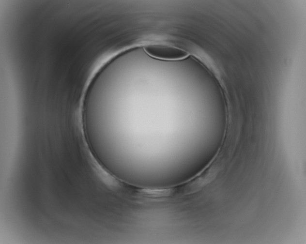 X0000113931344200910021235