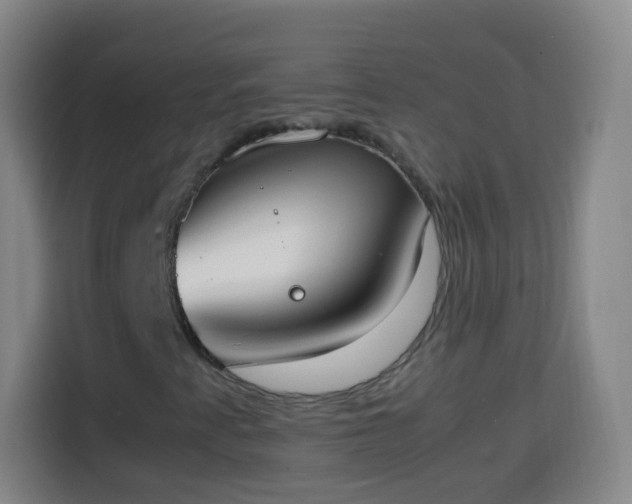 X0000113931345200910021234