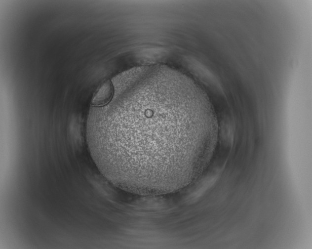 X0000113931346200910021234