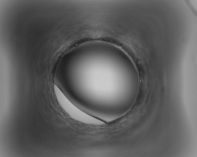 X0000113931349200910021234