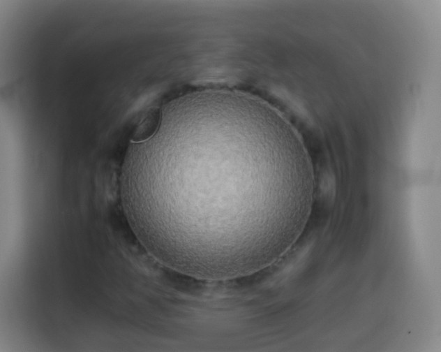 X0000113931350200910021234