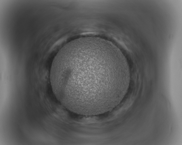 X0000113931351200910021234