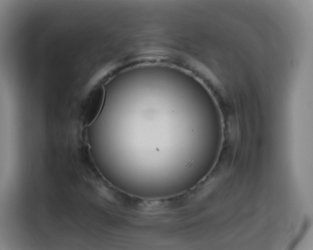 X0000113931352200910021234