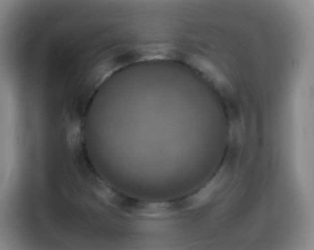 X0000113931353200910021234