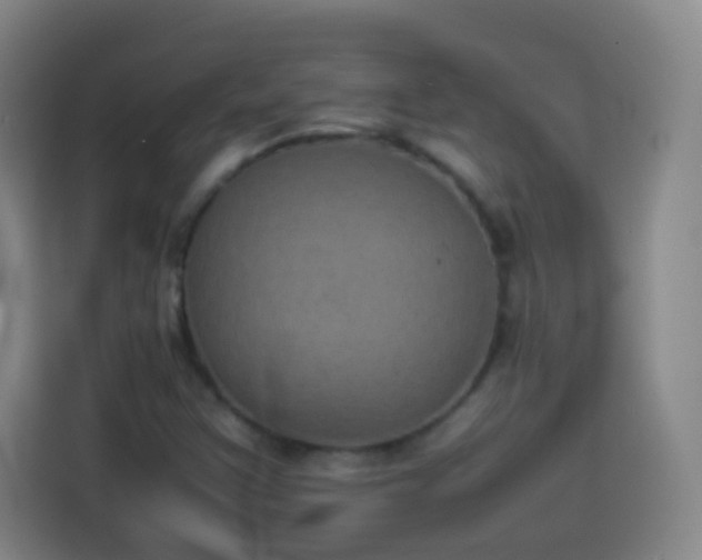 X0000113931355200910021234