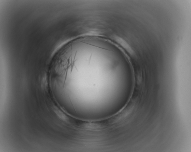 X0000113931356200910021234