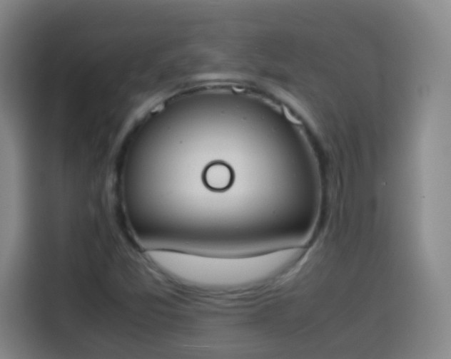 X0000113931357200910021234