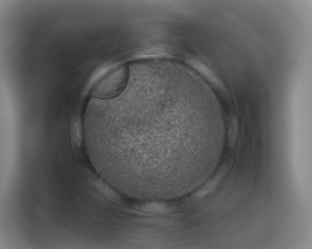 X0000113931358200910021234