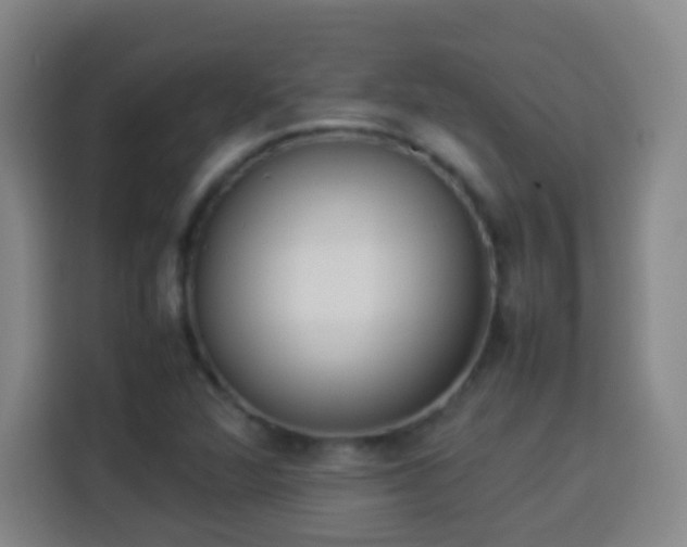 X0000113931360200910021234
