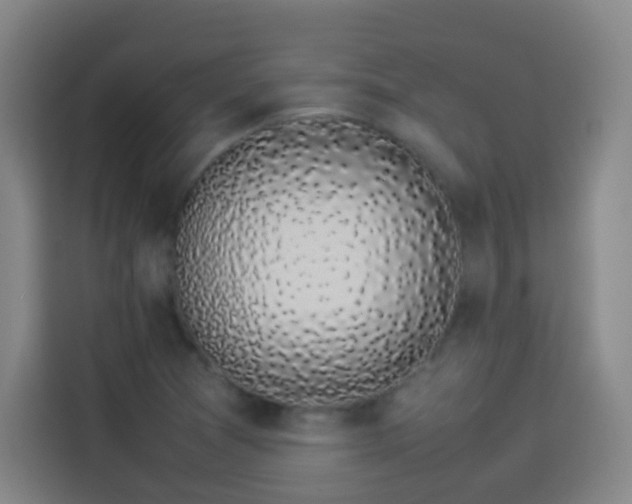 X0000113931361200910021234