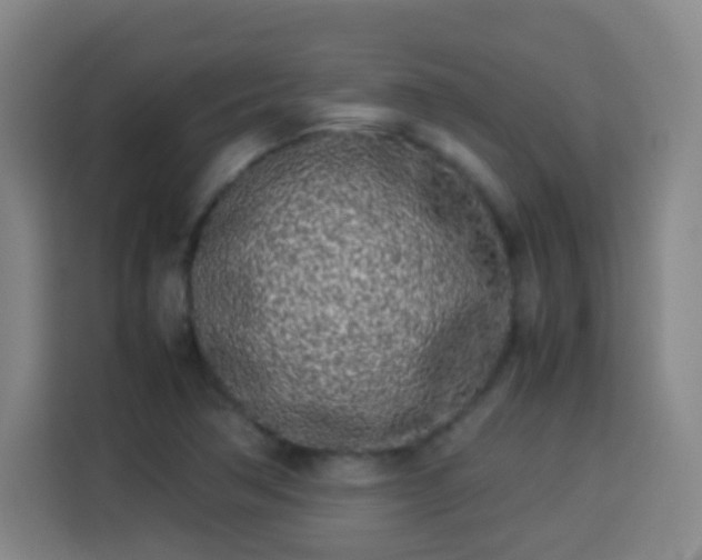 X0000113931362200910021234