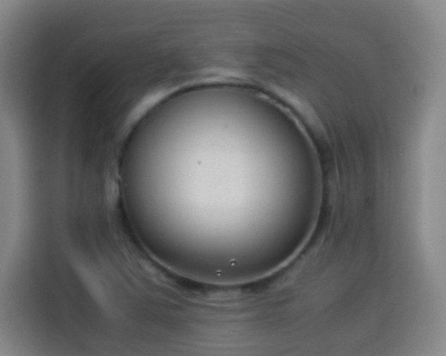 X0000113931363200910021234