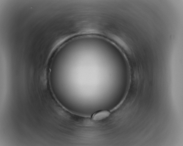 X0000113931364200910021234