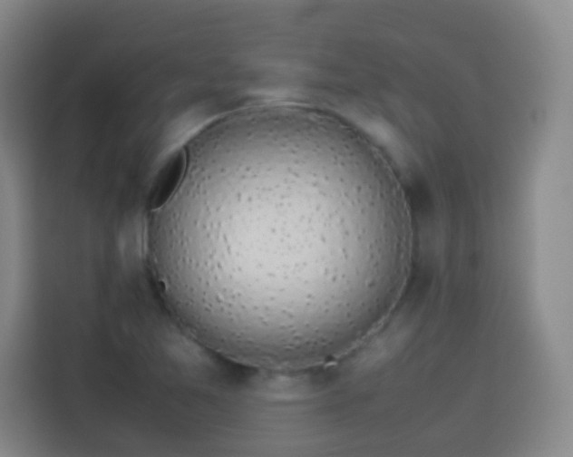 X0000113931365200910021234