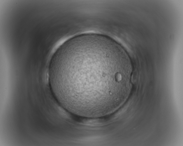 X0000113931367200910021234