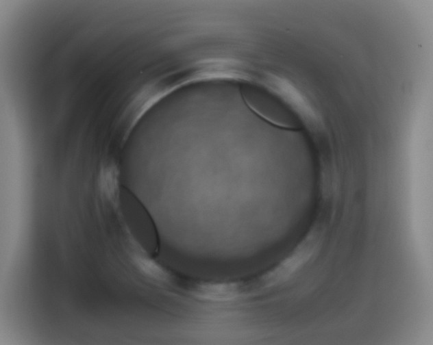 X0000113931369200910021234