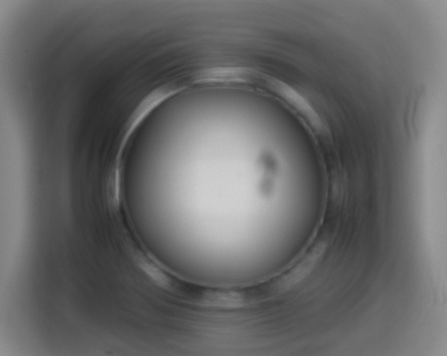 X0000113931370200910021234
