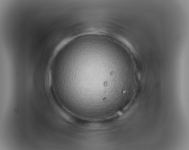 X0000113931371200910021234