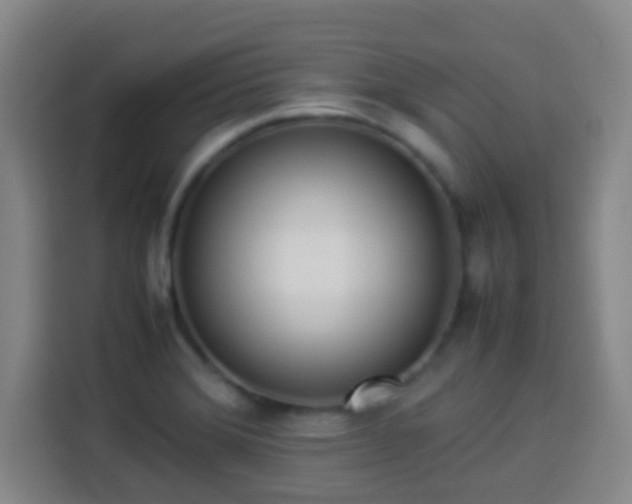 X0000113931372200910021234