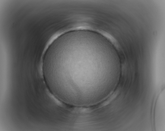 X0000113931374200910021234