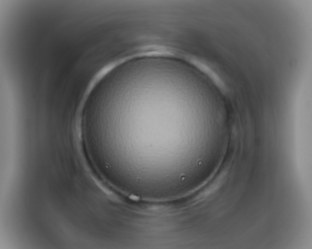 X0000113931375200910021234