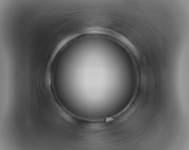 X0000113931376200910021234
