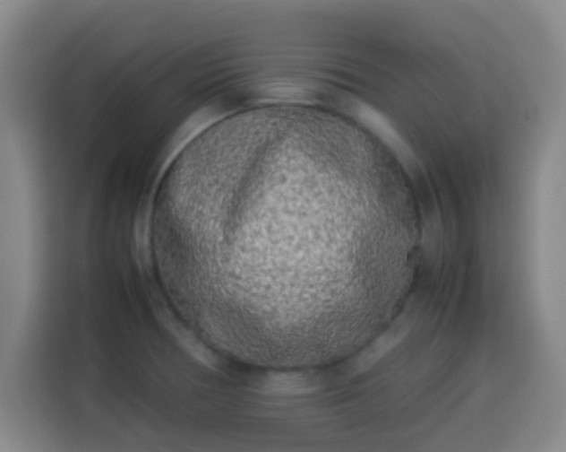 X0000113931378200910021234