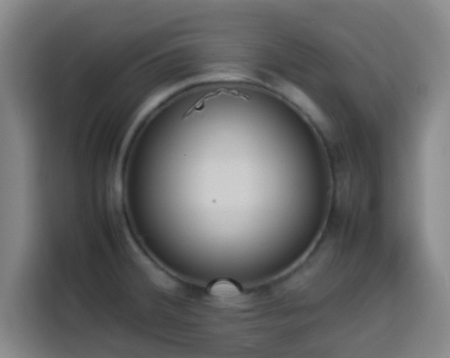X0000113931380200910021234