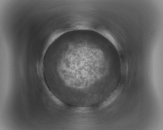 X0000113931381200910021234
