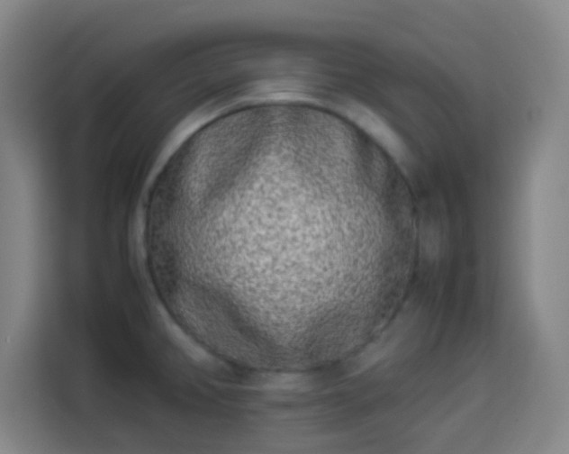 X0000113931382200910021234