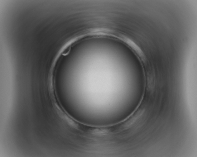 X0000113931384200910021233