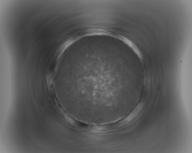 X0000113931385200910021233