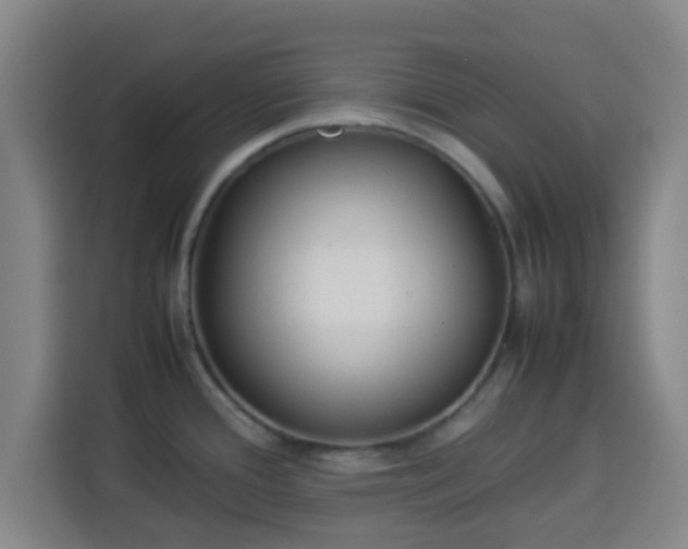 X0000113931388200910021233