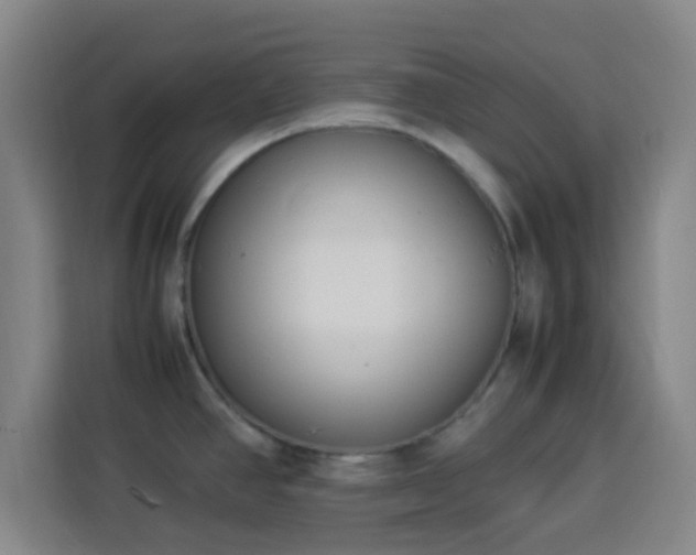 X0000113931390200910021233