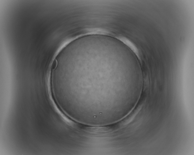 X0000113931391200910021233