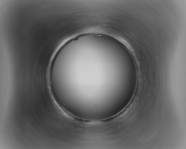X0000113931392200910021233