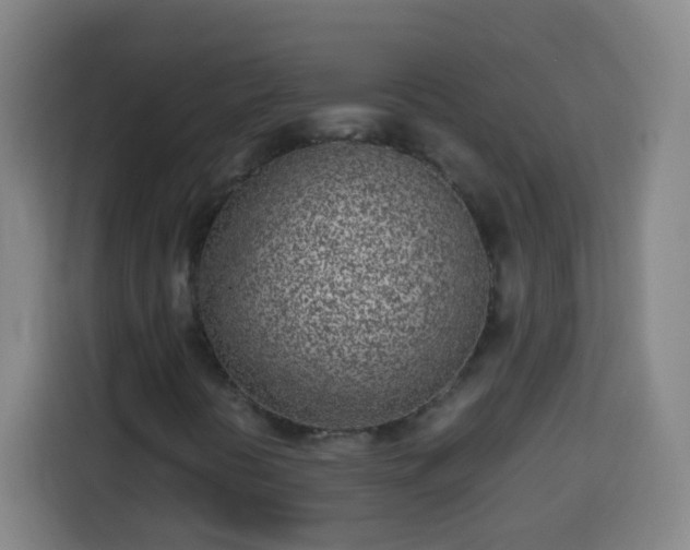 X0000113931394200910021233