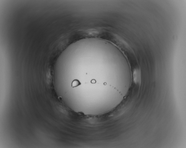 X0000113931395200910021233