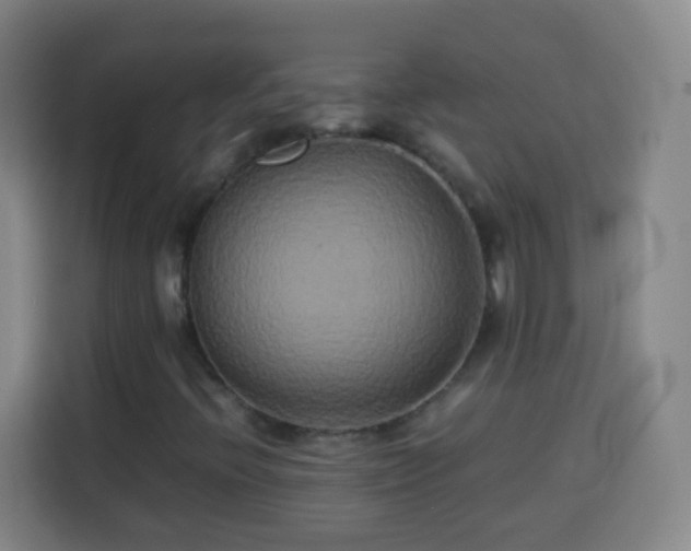 X0000113931396200910021233