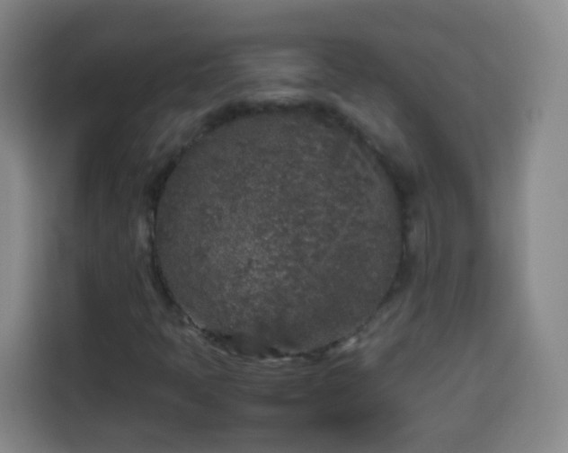 X0000113931397200910021233