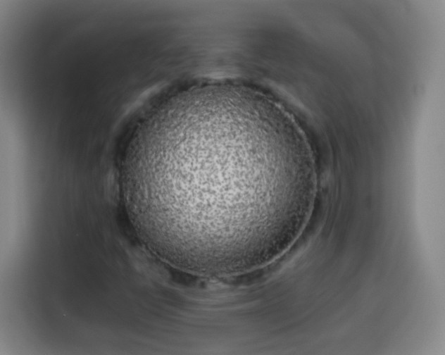 X0000113931398200910021233