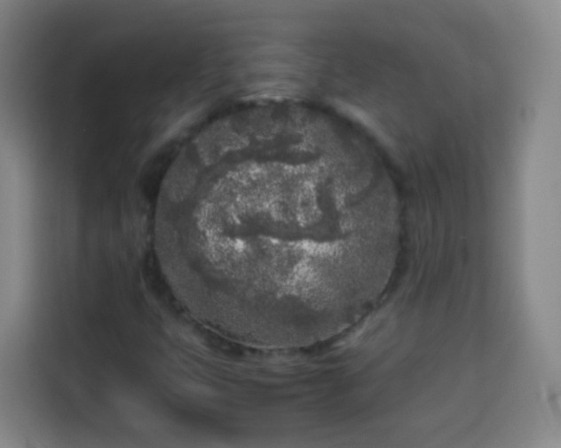 X0000113931399200910021233